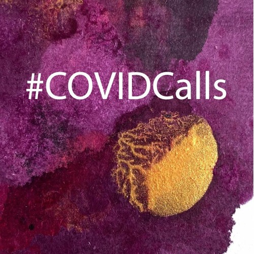 COVIDCalls 4.29.2020 Carly Goodman and Camille Mackler--How is COVID-19 affecting immigrants?