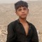 Habib Armani