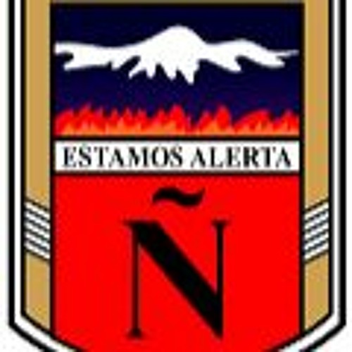 Entrevista Comandante Radio Bomberos de Chile