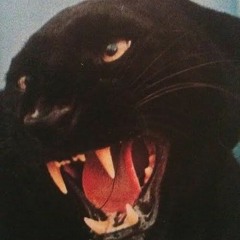 𝕼𝖎𝖊𝖉 𝕯𝖆𝖓𝖎𝖊𝖑