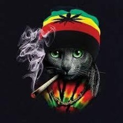 San Pedro Slut Club (acamoto99)