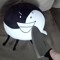 yinyang2005