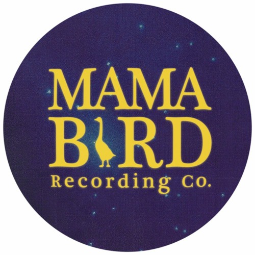 Mama Bird Recording Co.’s avatar