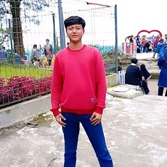 Muhammad Fauzan