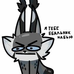 Tapochek
