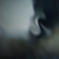 iriera