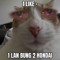 someone