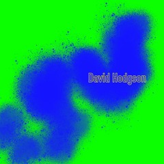 David Hodgson