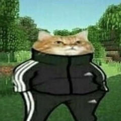 mxd