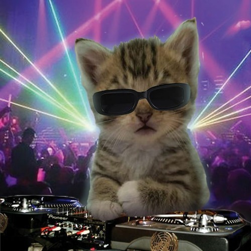 DJ cat’s avatar