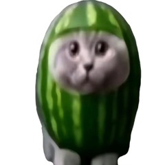 *4maimai