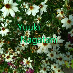 Yuuki Nagatani