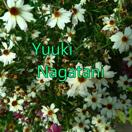 Yuuki Nagatani’s avatar