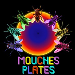 Mouches Plates