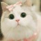 Sweet Mochi