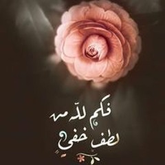 Gihad Mohamed