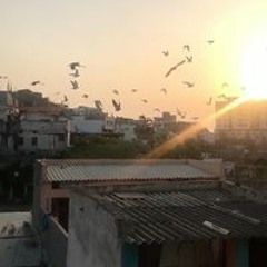 Abdul Bari