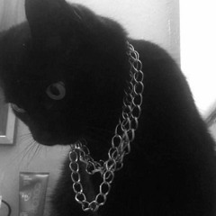swagtunes😼😼😼