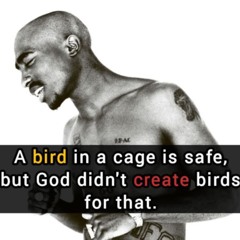 AKA. ....Boxer Dangchu