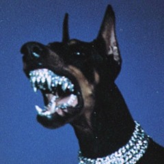 Wolf Harri$