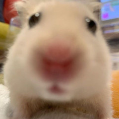 𝑵𝒈𝒖𝒚𝒆𝒏 𝑵𝒂𝒎