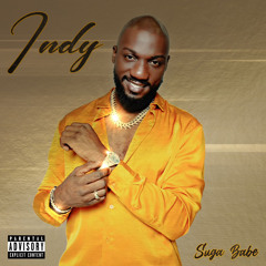 Indstry Stndrd aka Indy