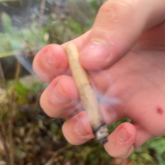 Łxğâñ🏴󠁧󠁢󠁳󠁣󠁴󠁿🐊