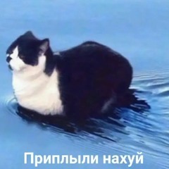 Тимофейкоо