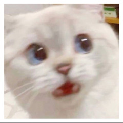 🌀愛