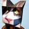Forte -