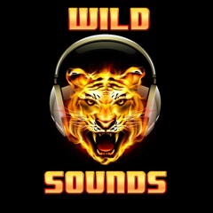 WildSoundsMusic²