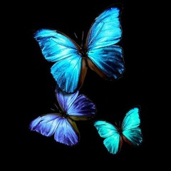 KojiVsTheWorld🦋