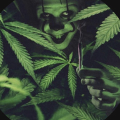 Jester