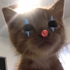 huh???