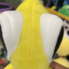bonniegamer5310