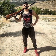 omid chamani
