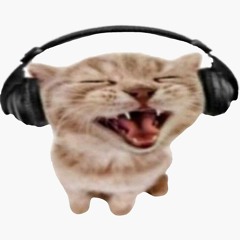 cer