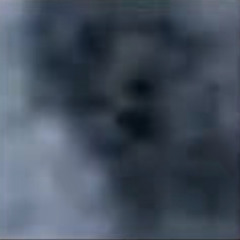 D.4.Y.
