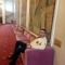 Ahmed Elarabawey