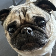 Ben