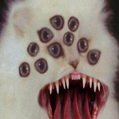 calvnvlad