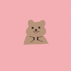 민쿼카