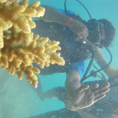 sujith raj