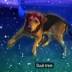 duuk