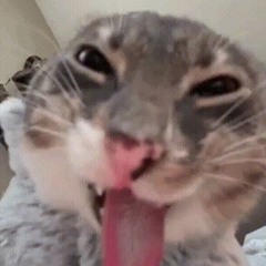 Hacky