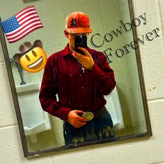 a.o_cowby16