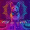 FOX DJ collect