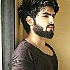 Harb Siraj al Din