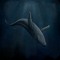 [The 52Hz Whale][Blue One]