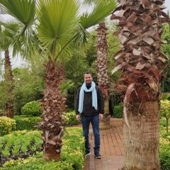 mojtabashokrollahi32@gmail.com